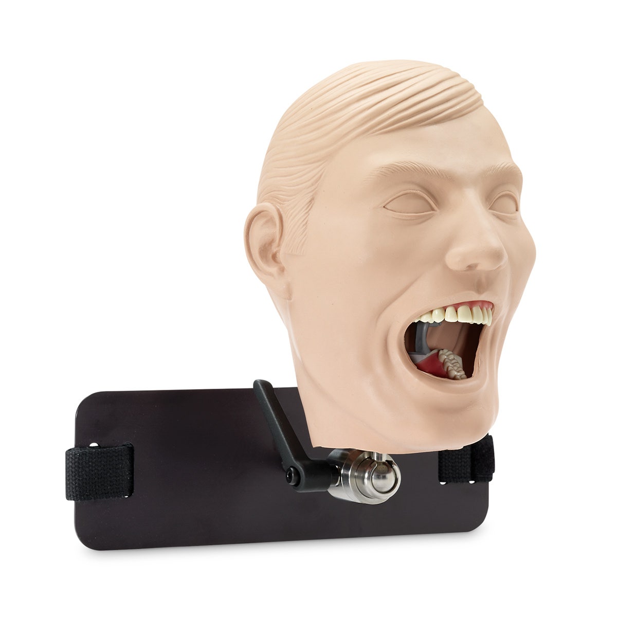 SB23464-Dental Manikin