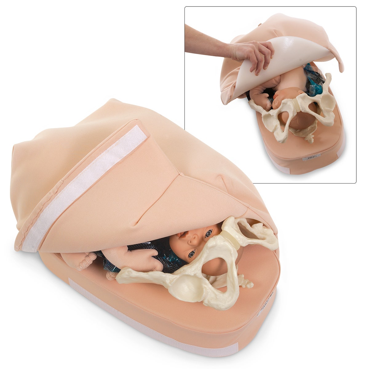 SB23476-Abdominal Palpation Model