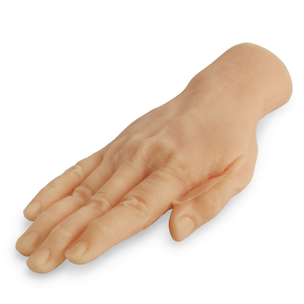 SB23499-Venipuncture Training Hand