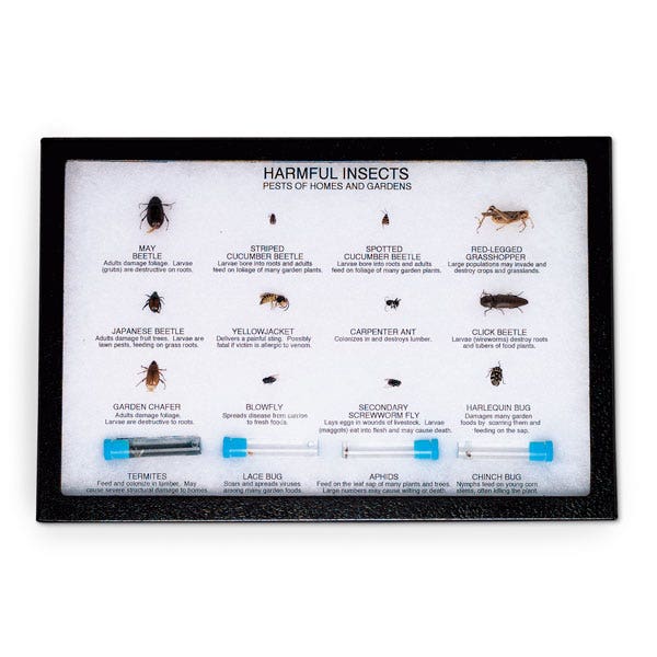 SB26424-Harmful Insects