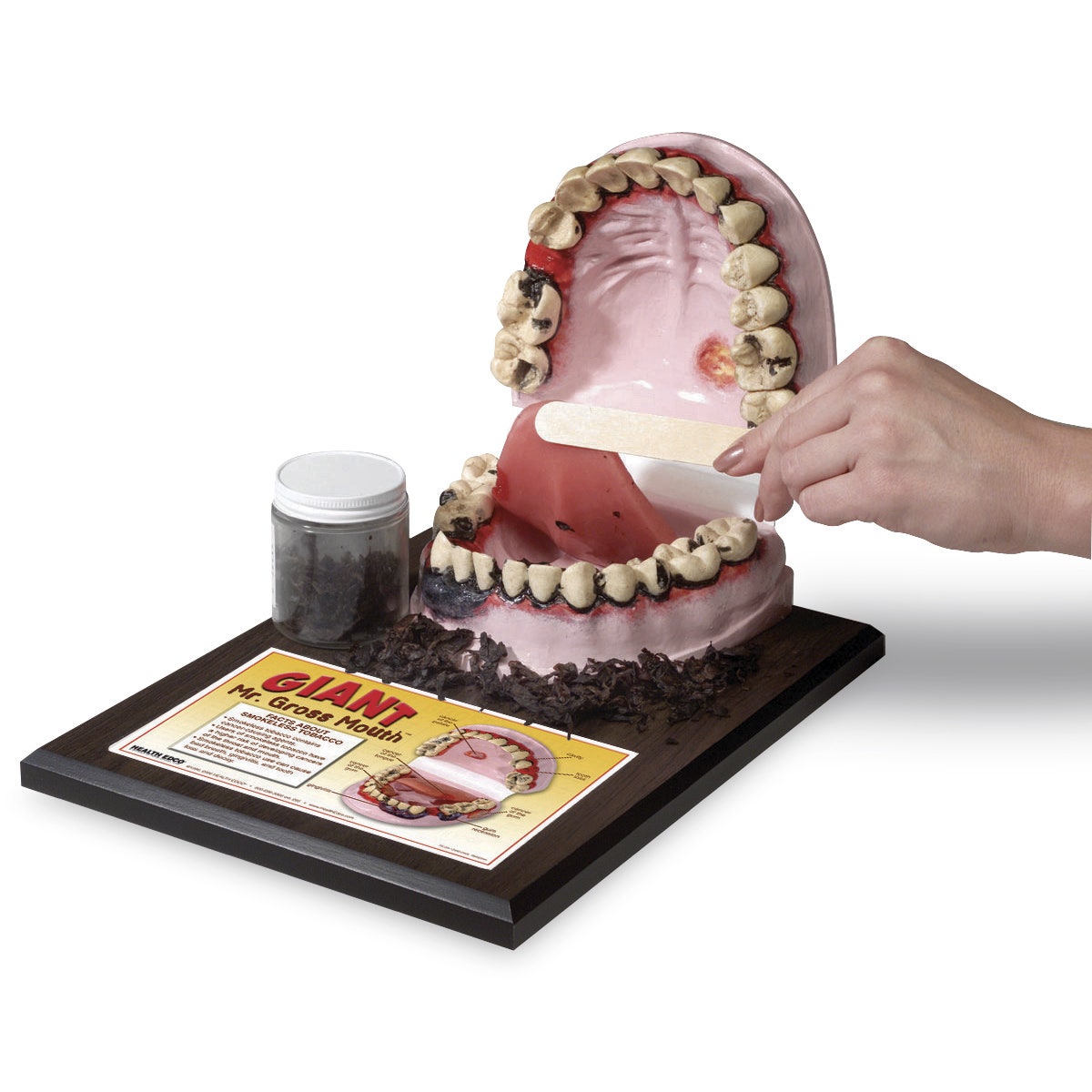 SB27166-Giant Mr. Gross Mouth™ Display - 9 in. x 12 in. x 6 in.