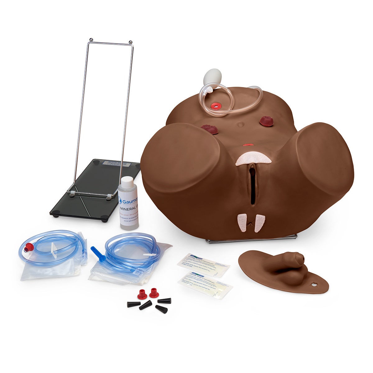 X0000SB28919-D-Gaumard Advanced Patient Care Male and Female Catheterization Simulator