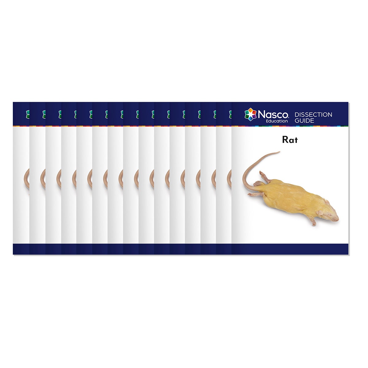 SB29846-Student Rat Dissection Guides