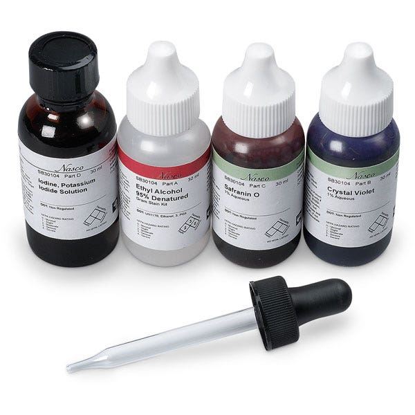 SB30104-Nasco Gram Stain Kit