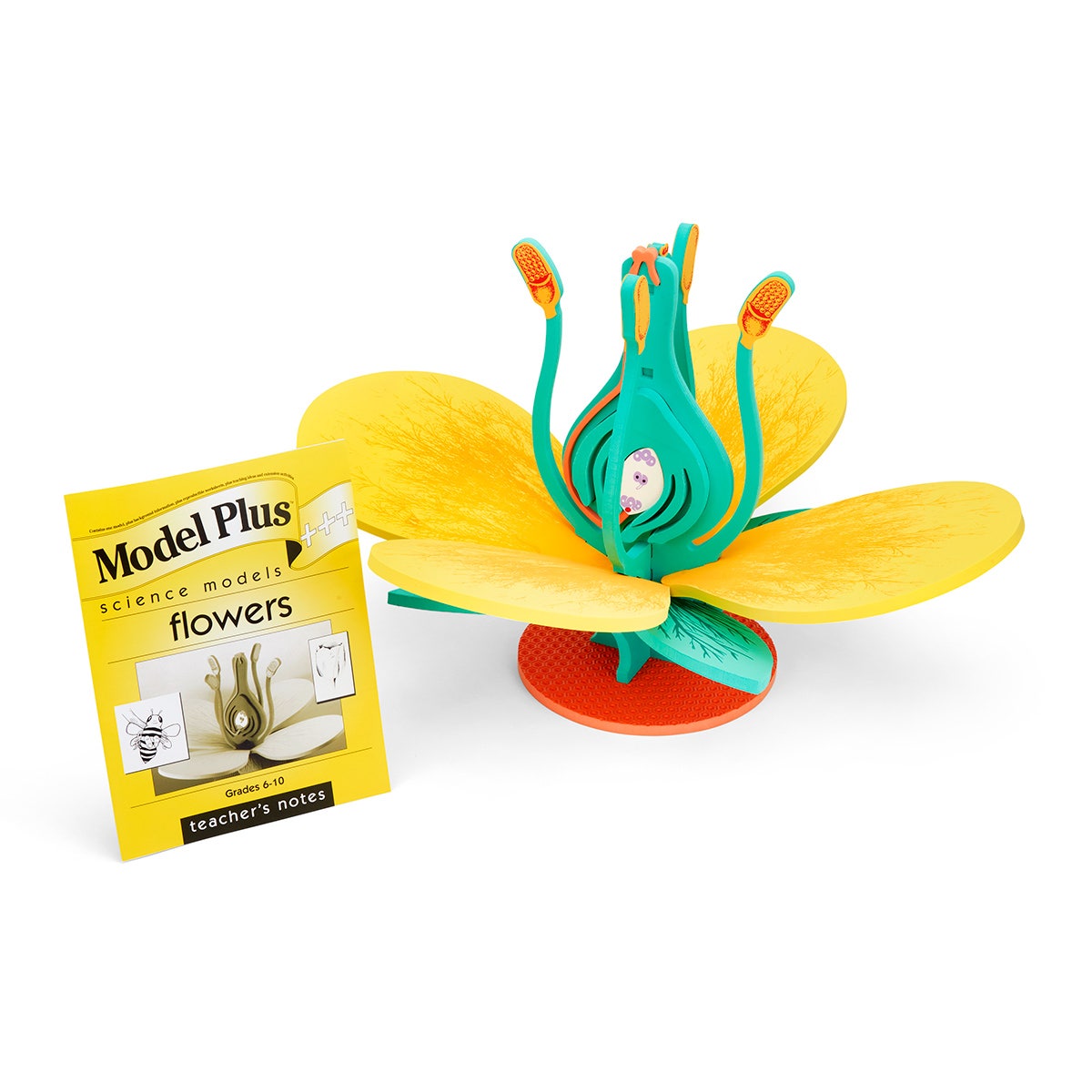 SB31406-Foam Flower Model