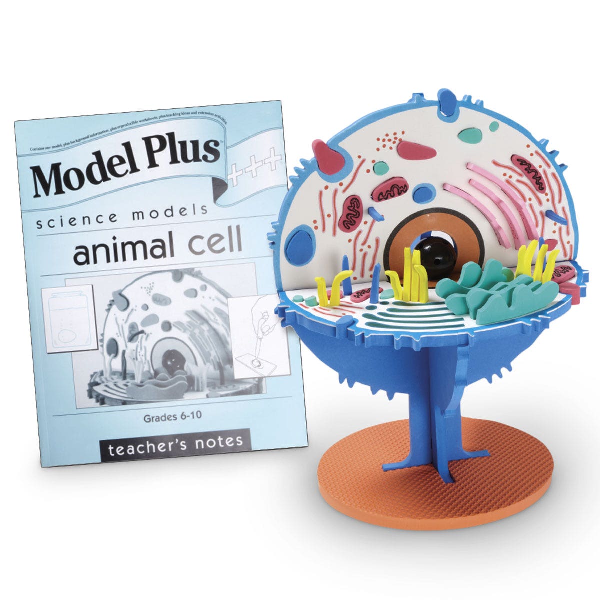 X0000SB31407-Cell Models with Teacher Guide