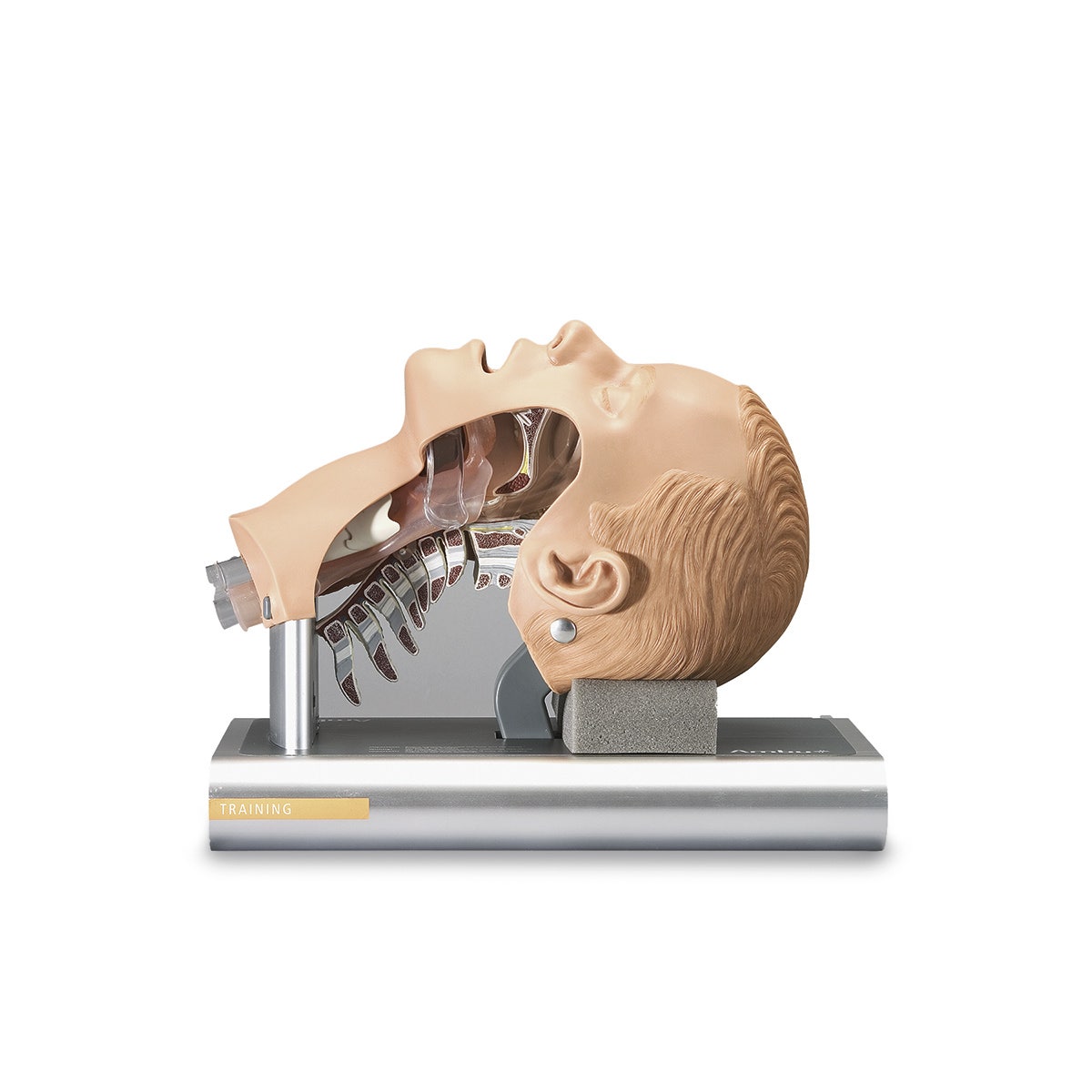 SB32893-AMBU Intubation Trainer