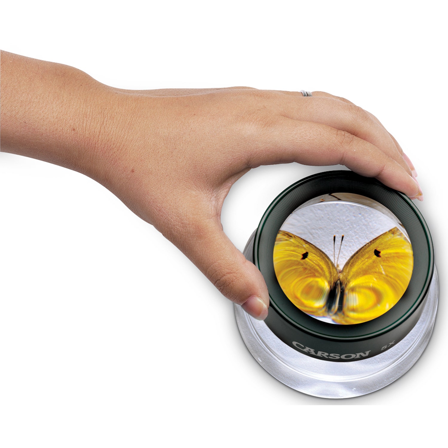 SB33381-BugLoupe™ Magnifier