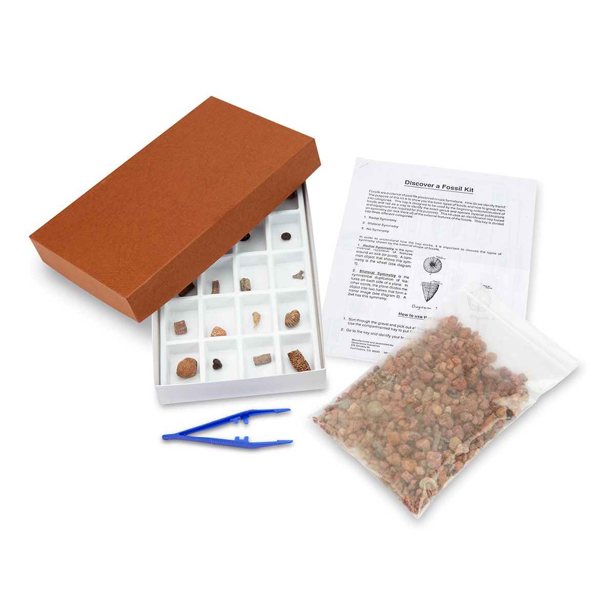 SB33401-Fossil Hunt Kit