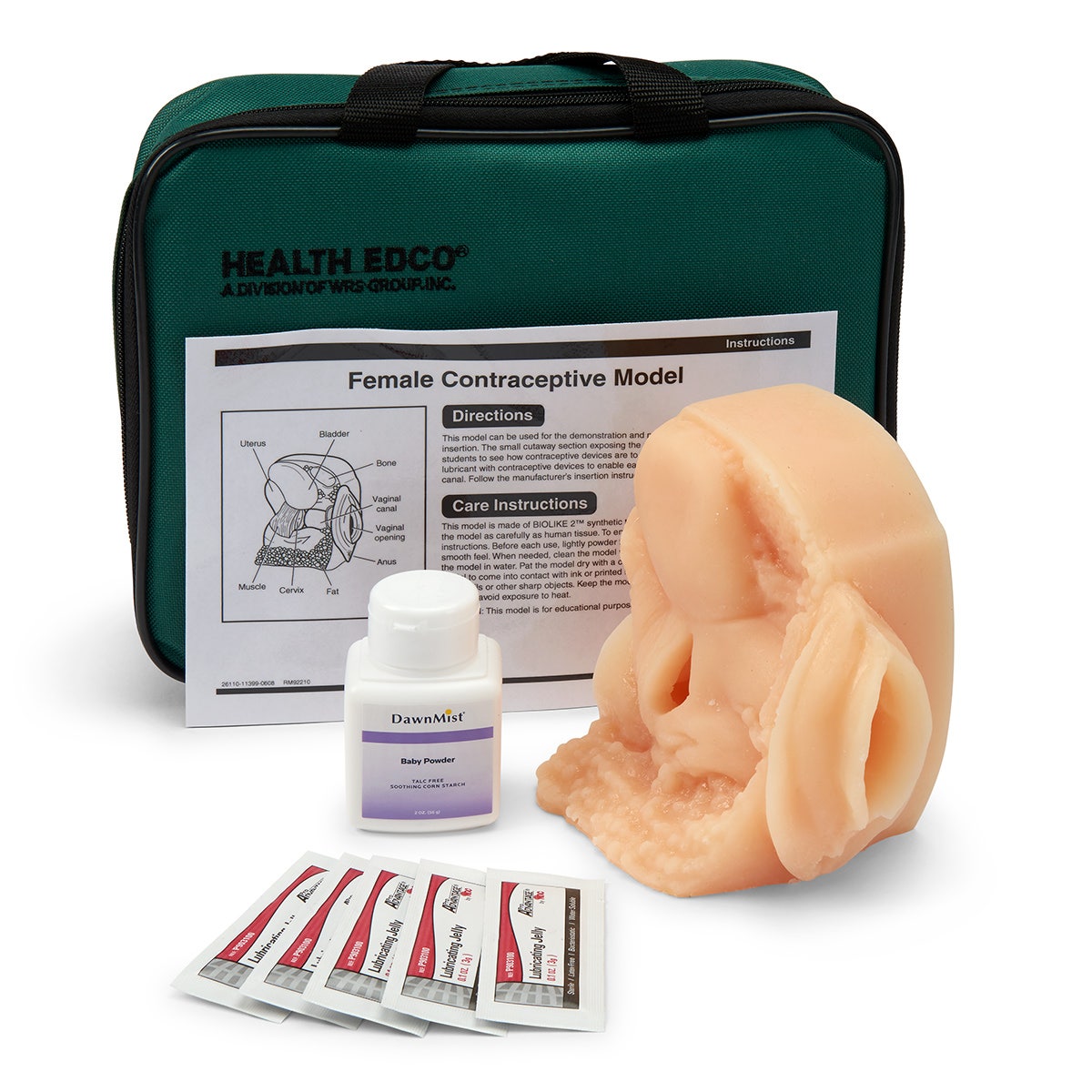 SB36953-Female Contraceptive Model - 3-3/4 in. x 5-1/4 in. x 5-1/2 in.