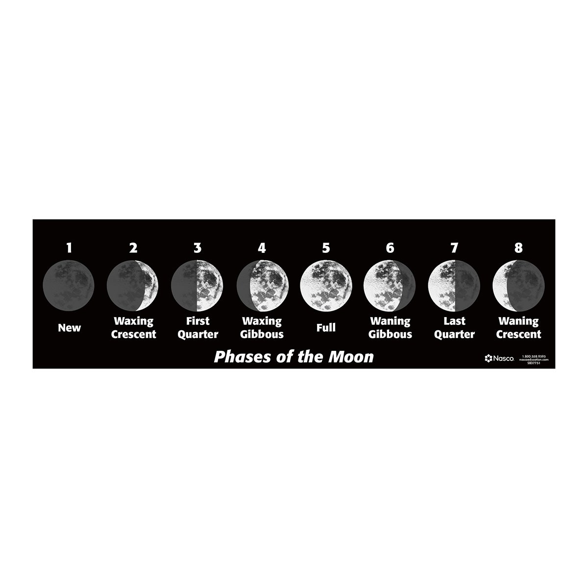 X0000SB37751-Moon Phases Poster
