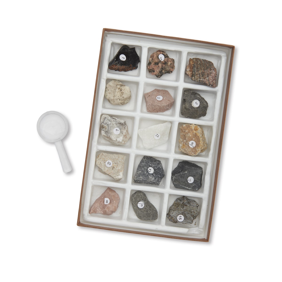 SB39180-Rock Study Kit