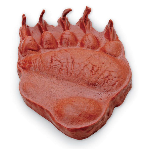 SB39658-Nasco Grizzly Bear Paw Replica