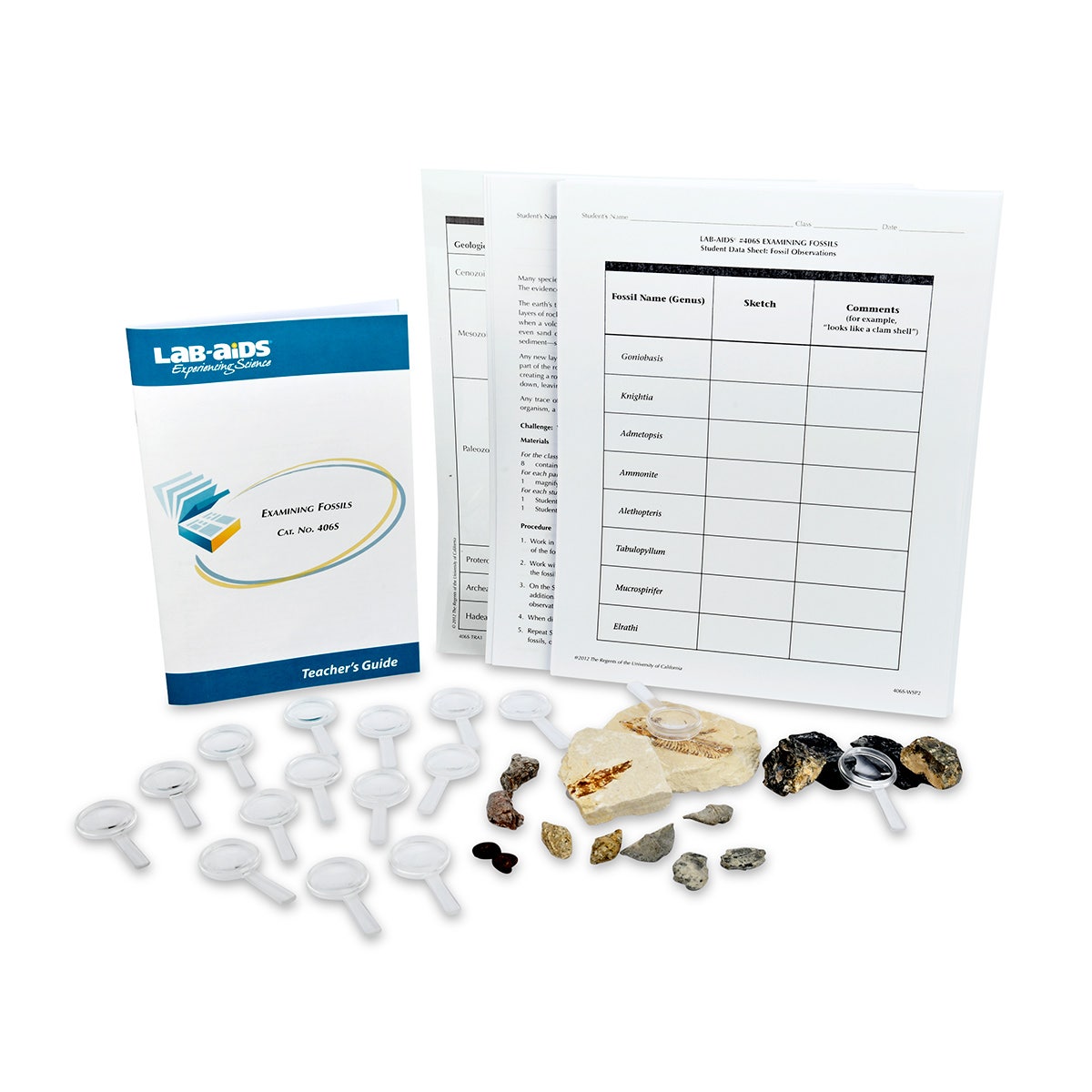 SB40670-Examining Fossils