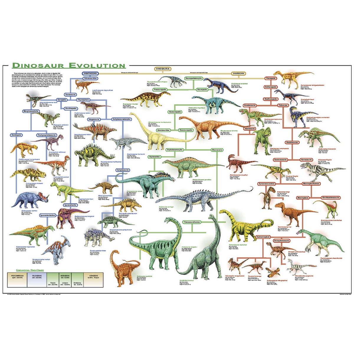 SB40864-Dinosaur Evolution
