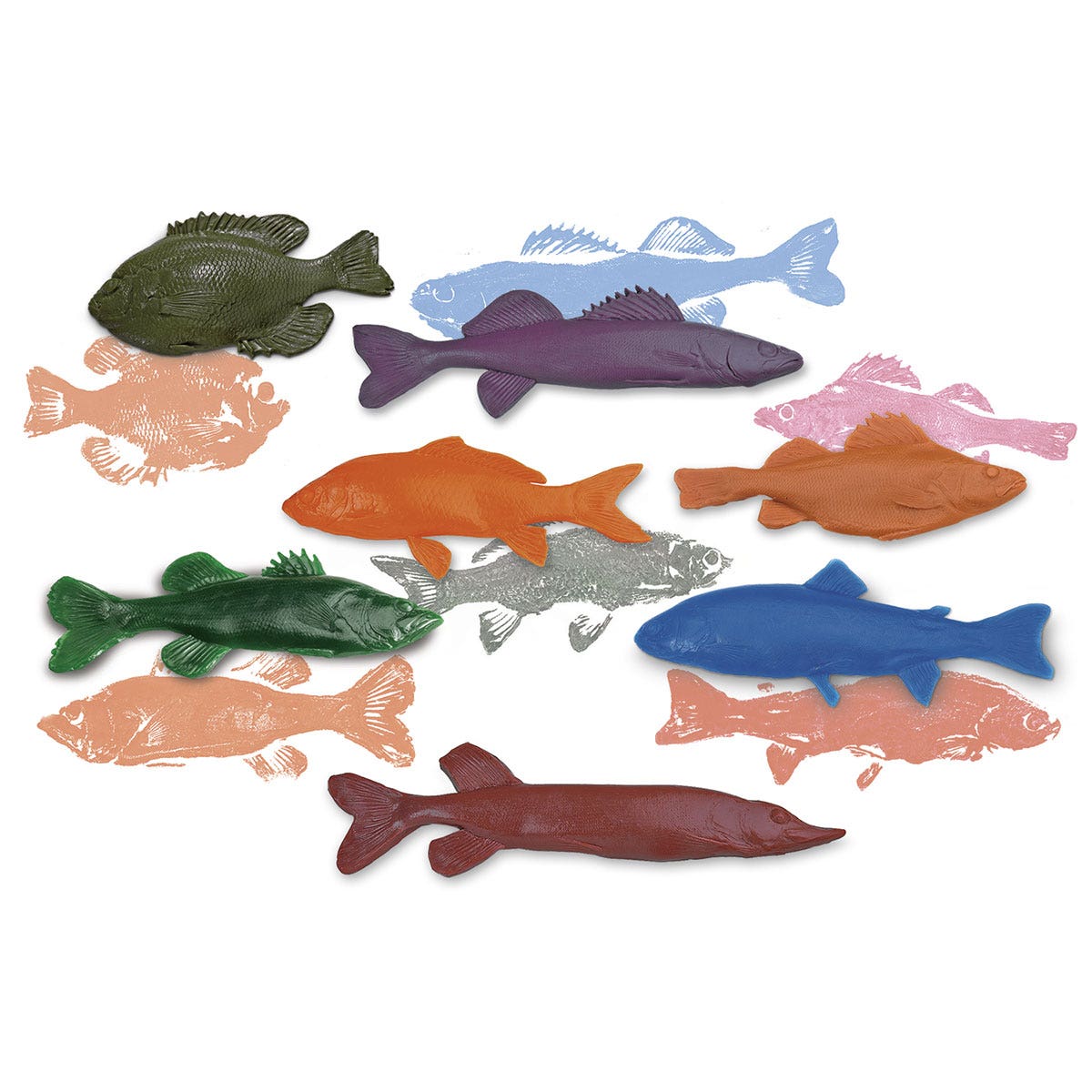 SB41072-Nasco Freshwater Fish Replica Rubber Stamp Set for Printmaking - Set of 7