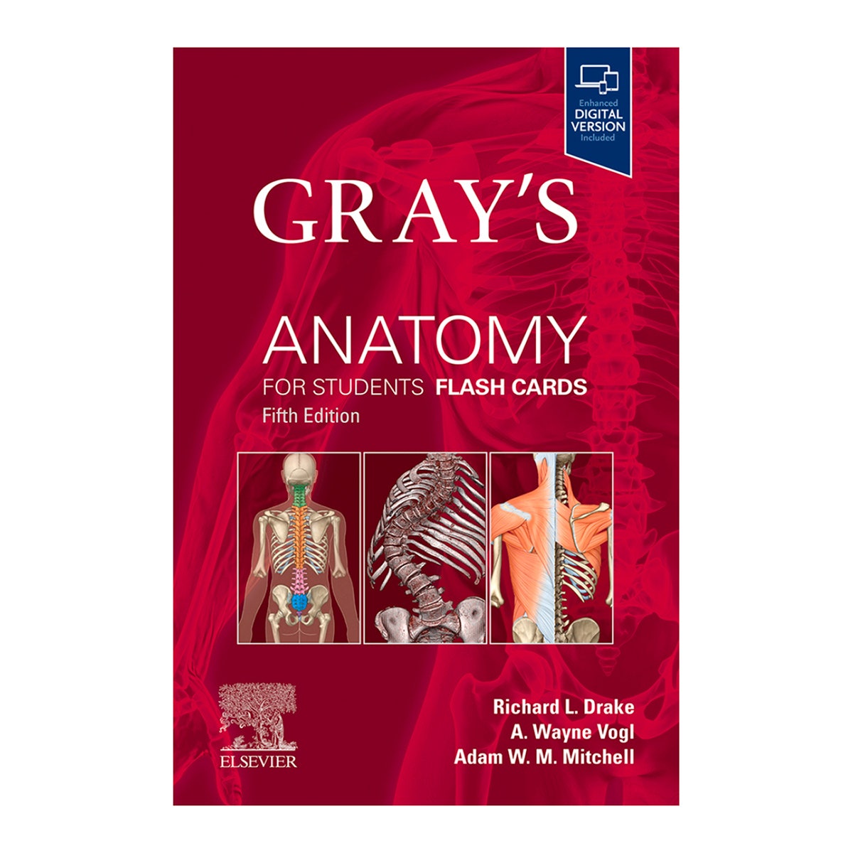 SB41314-Gray’s Anatomy Flash Cards, 5th Edition