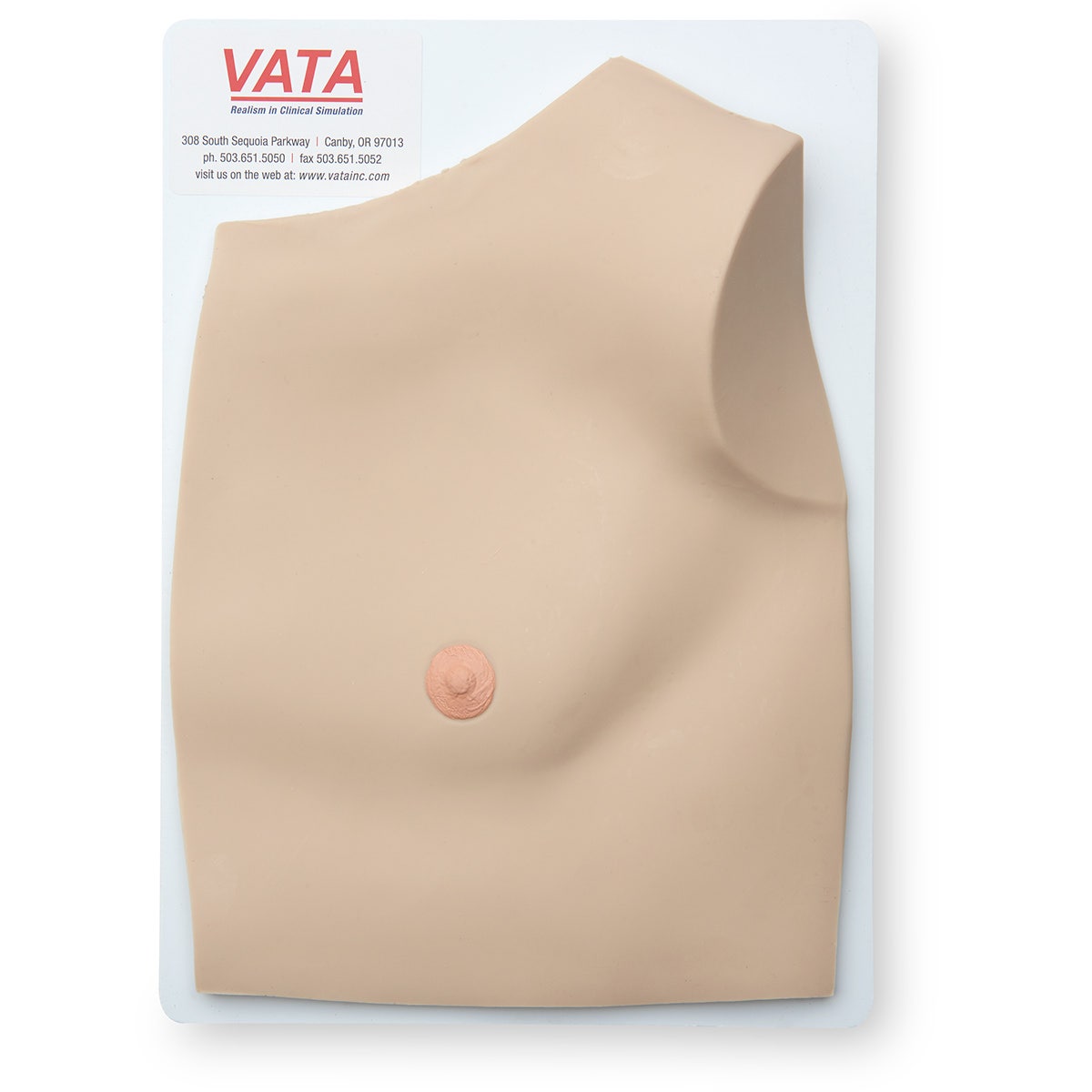 SB41587-Chest Tissue Flap Replacement