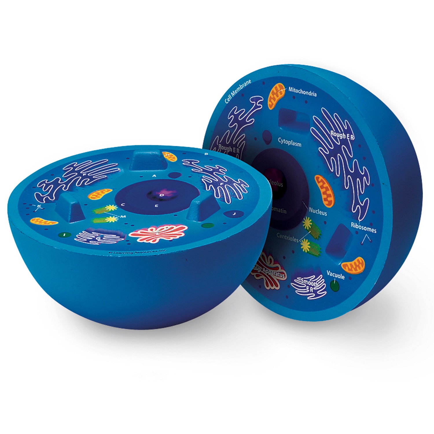 X0000SB42003-Cross-Section Model