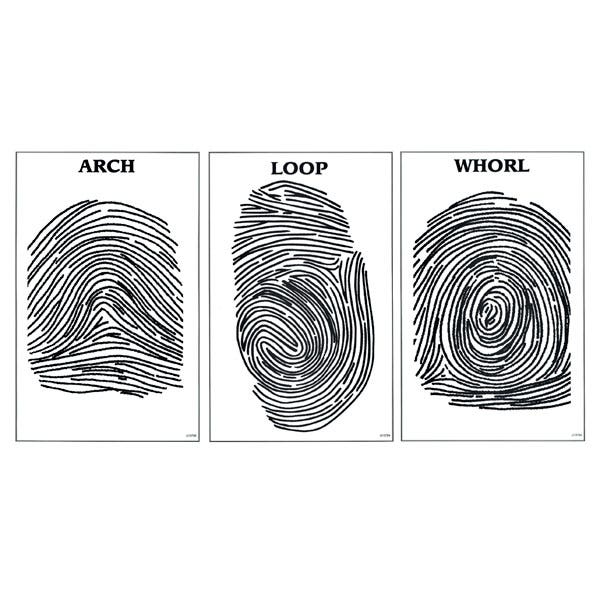 SB42117-Nasco Fingerprint Posters - Set of 3
