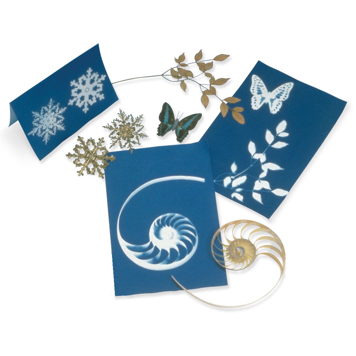 SB42293-Nature Print® Paper - 5 in. x 7 in. - Pkg. of 40 Sheets