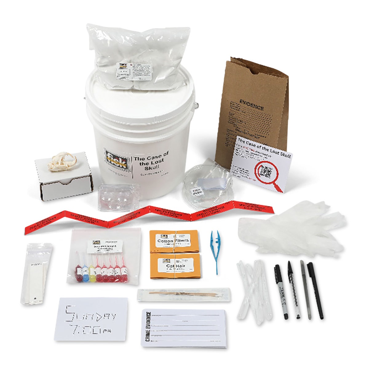 X0000SB42519-Case of the Lost Skull