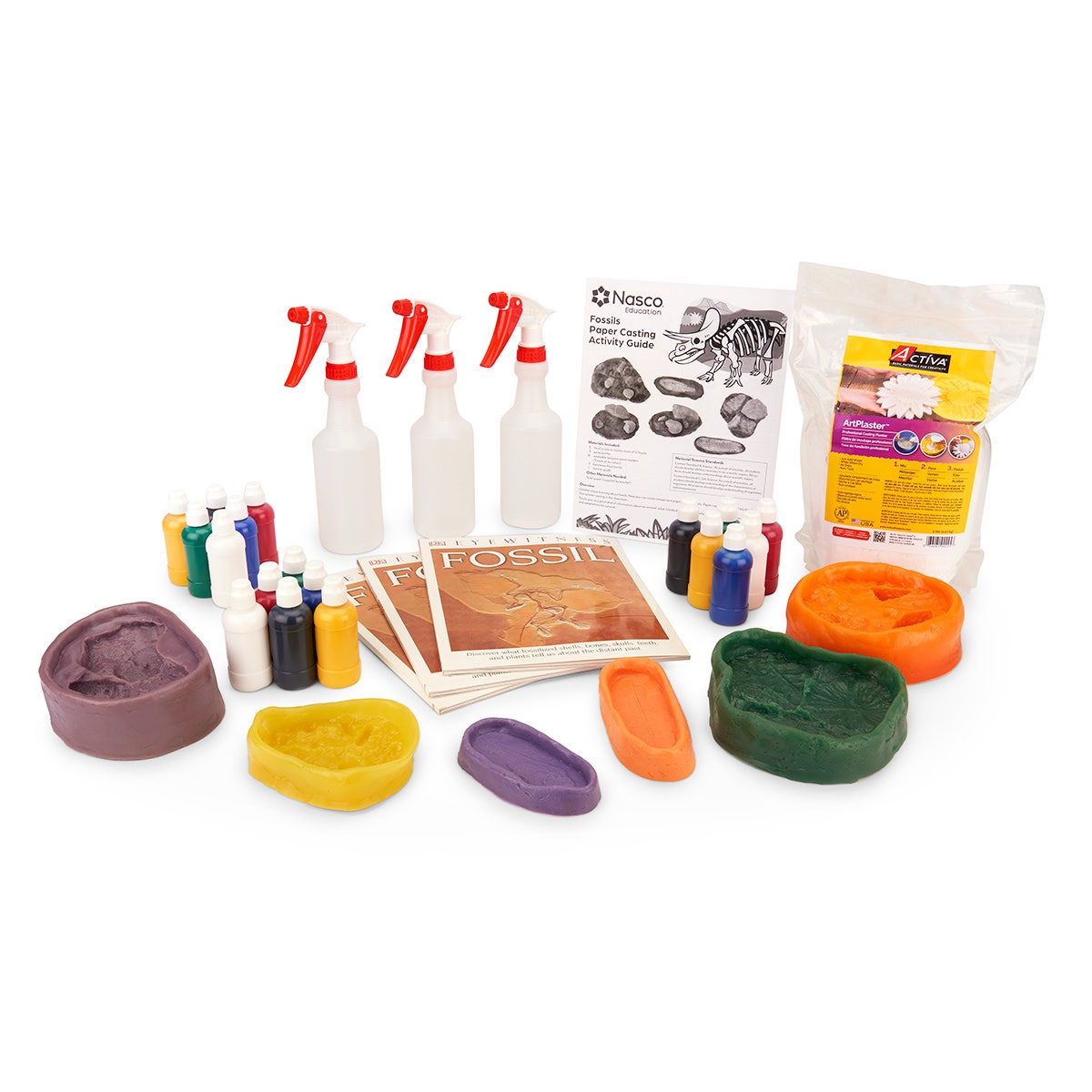 SB44733-Nasco Fossils Paper Casting Classroom Kit