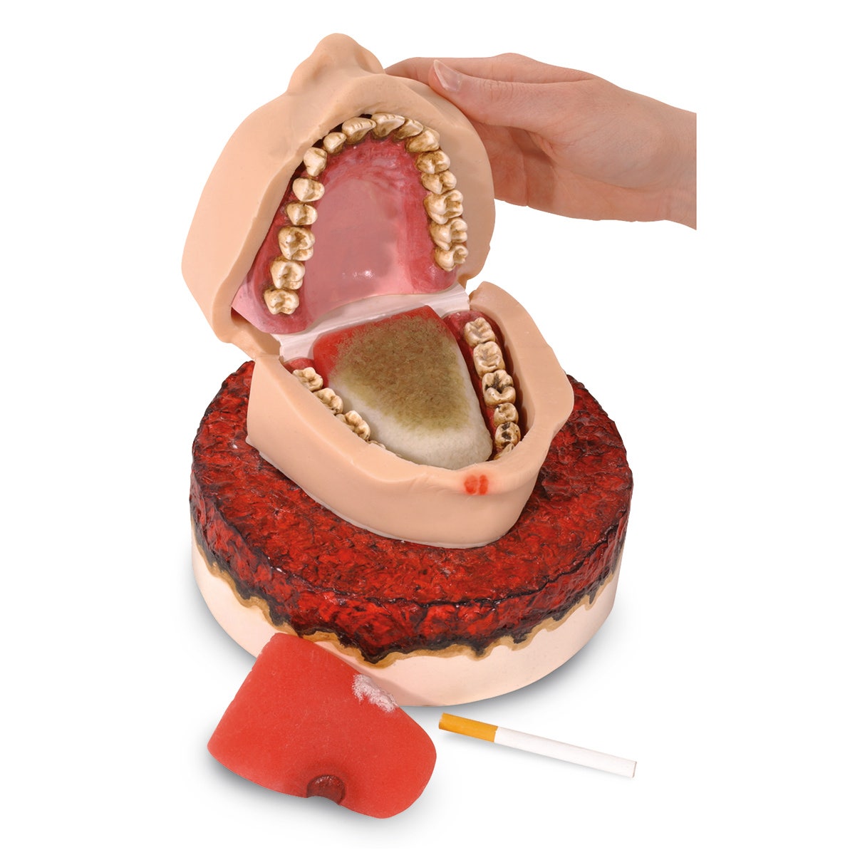 X0000SB44901-Smoker's Foul Mouth Display