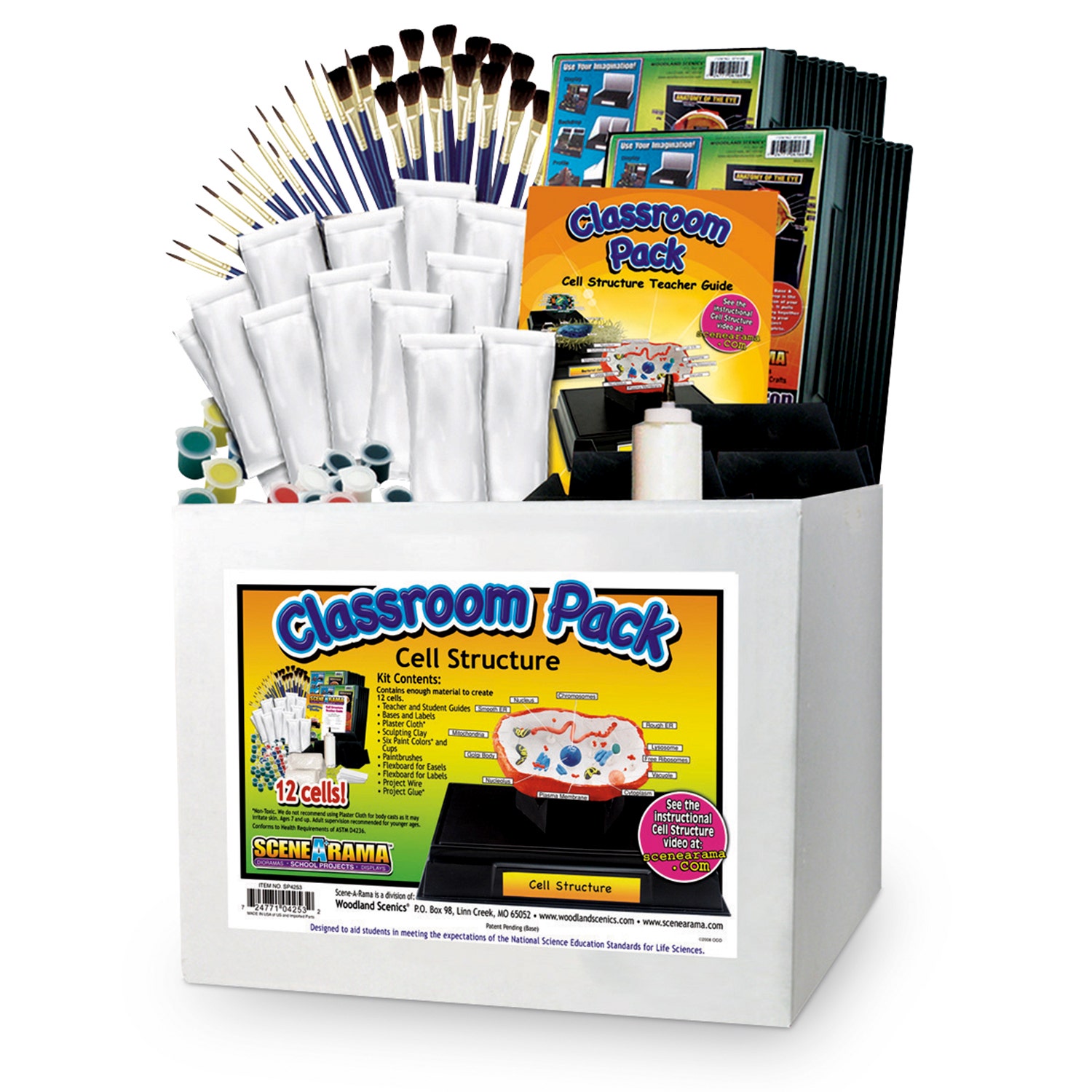 SB45532-Cell Structure Classroom Pack