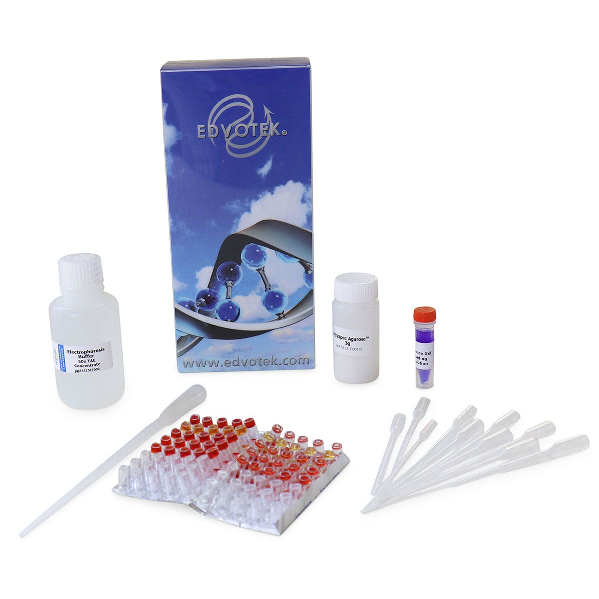 SB45630-DNA Electrophoresis Lab - The Mystery of the Crooked Cell