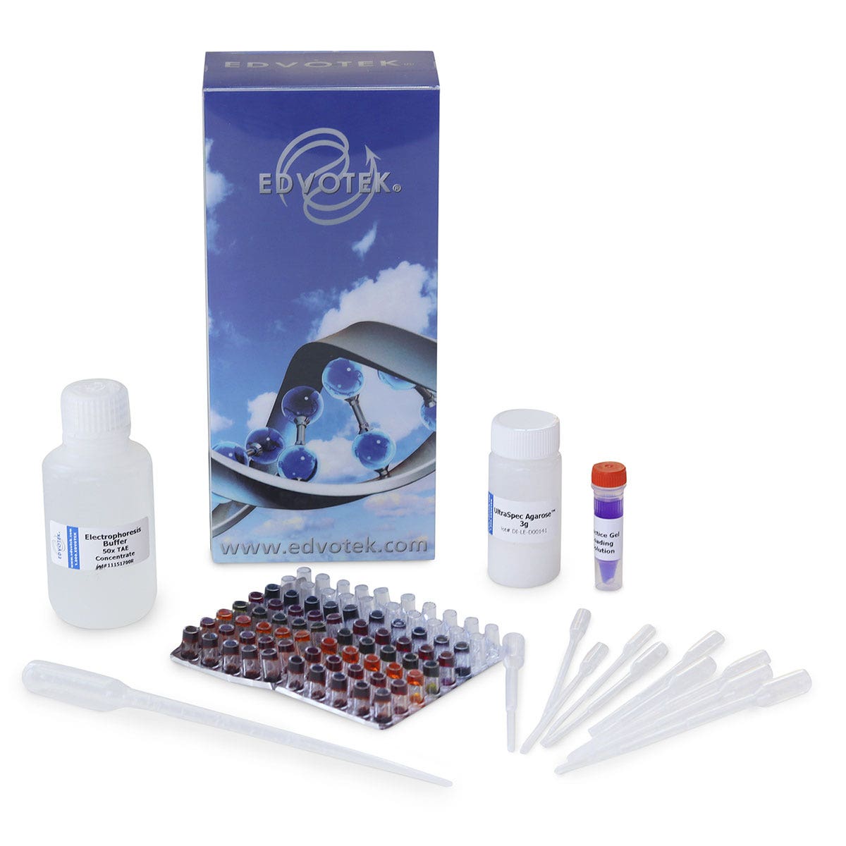 SB45636-DNA Electrophoresis Lab - In Search of My Father