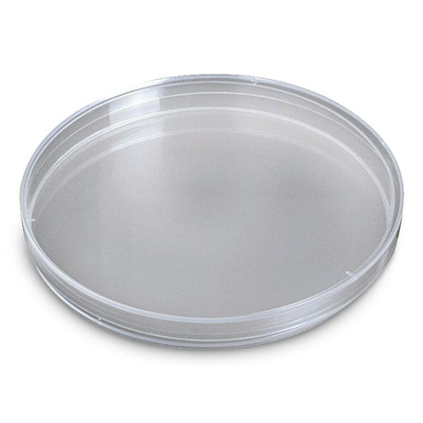 X0000SB45992-Petri Dish - 150 mm Diameter