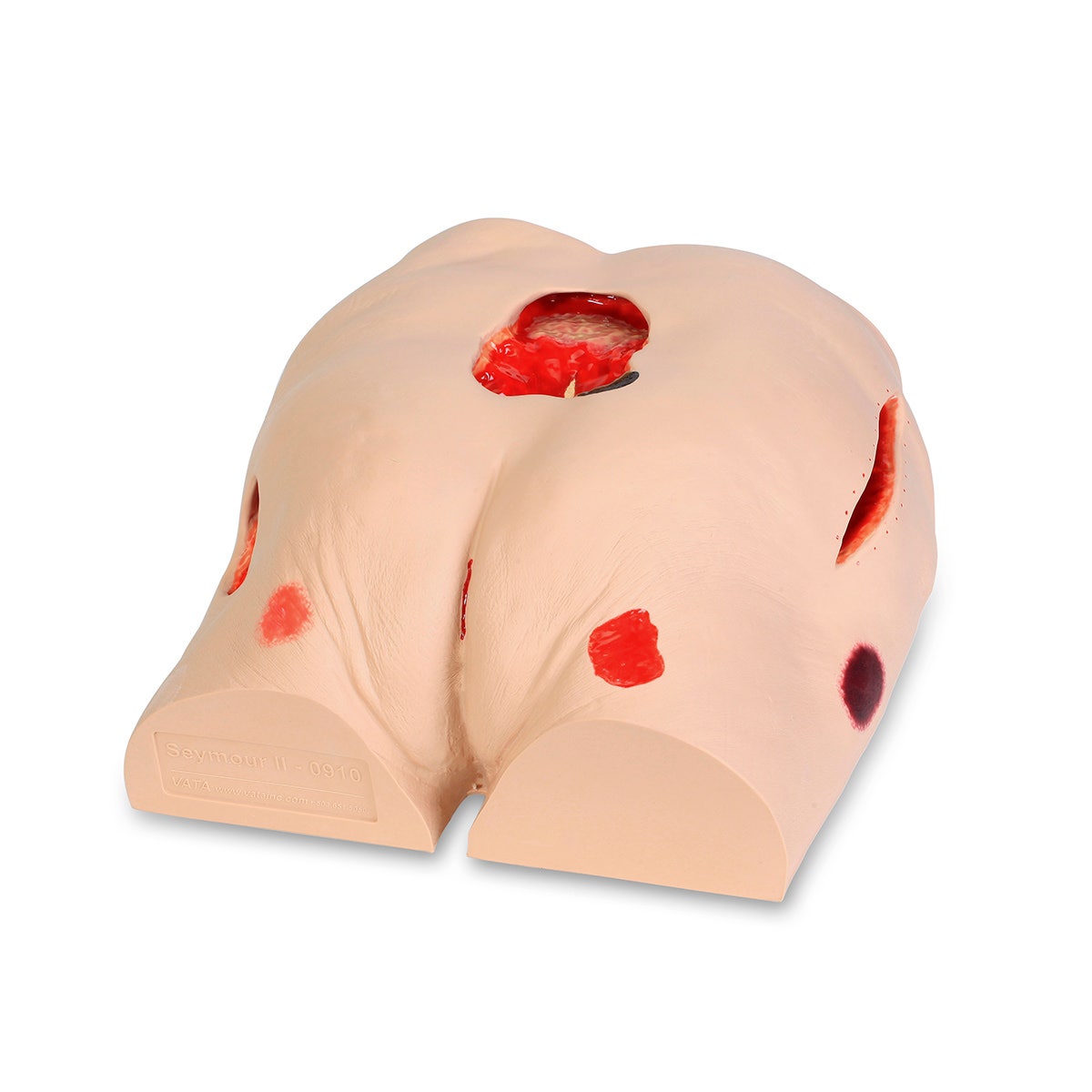 SB46502-Seymour II Wound Care Model
