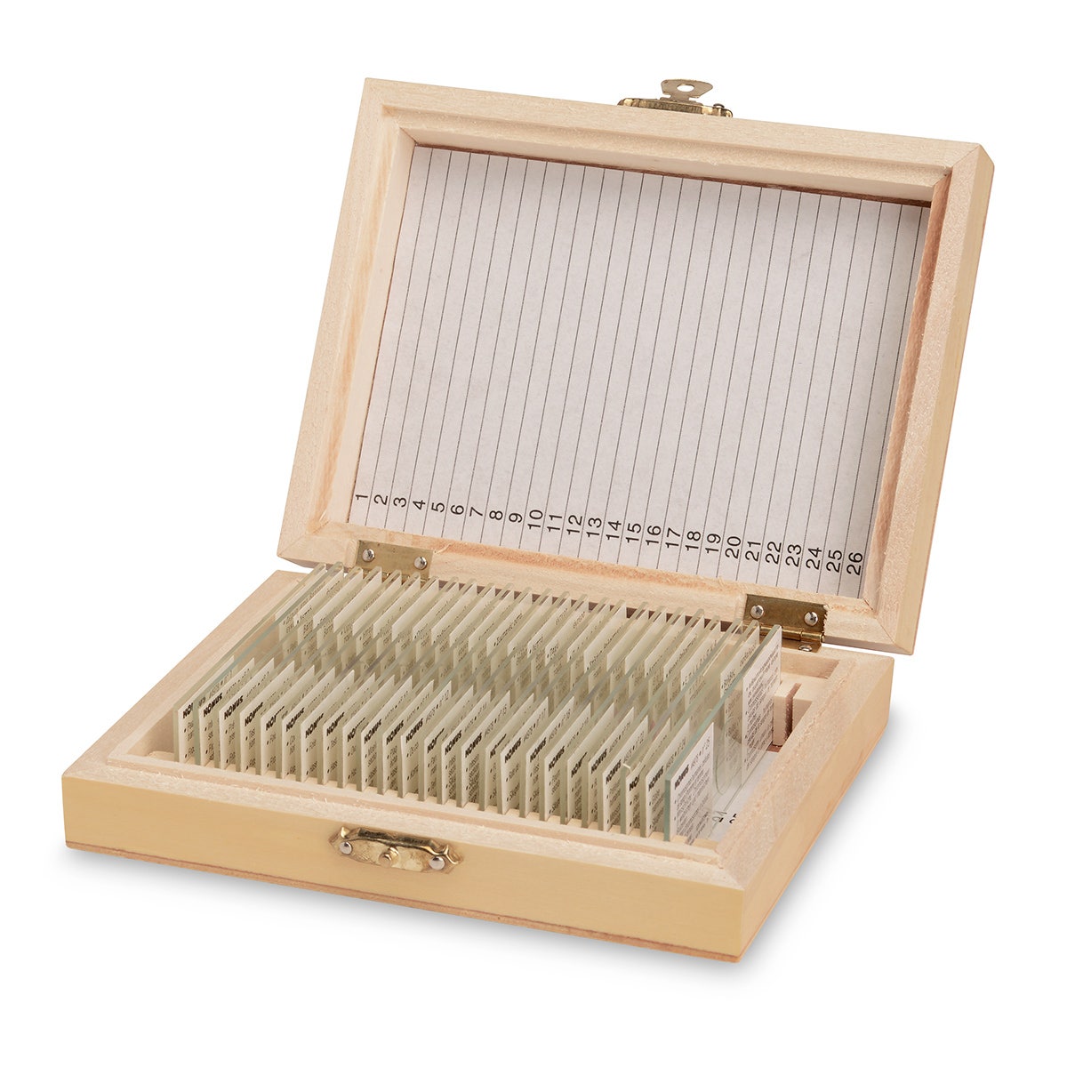 SB47785-Student Grade Slide Set - Vertebrate (Including Mammalian)