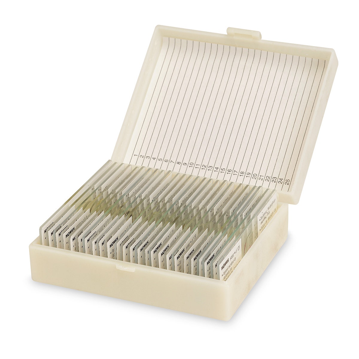 SB47786-Student Grade Slide Set - Insects