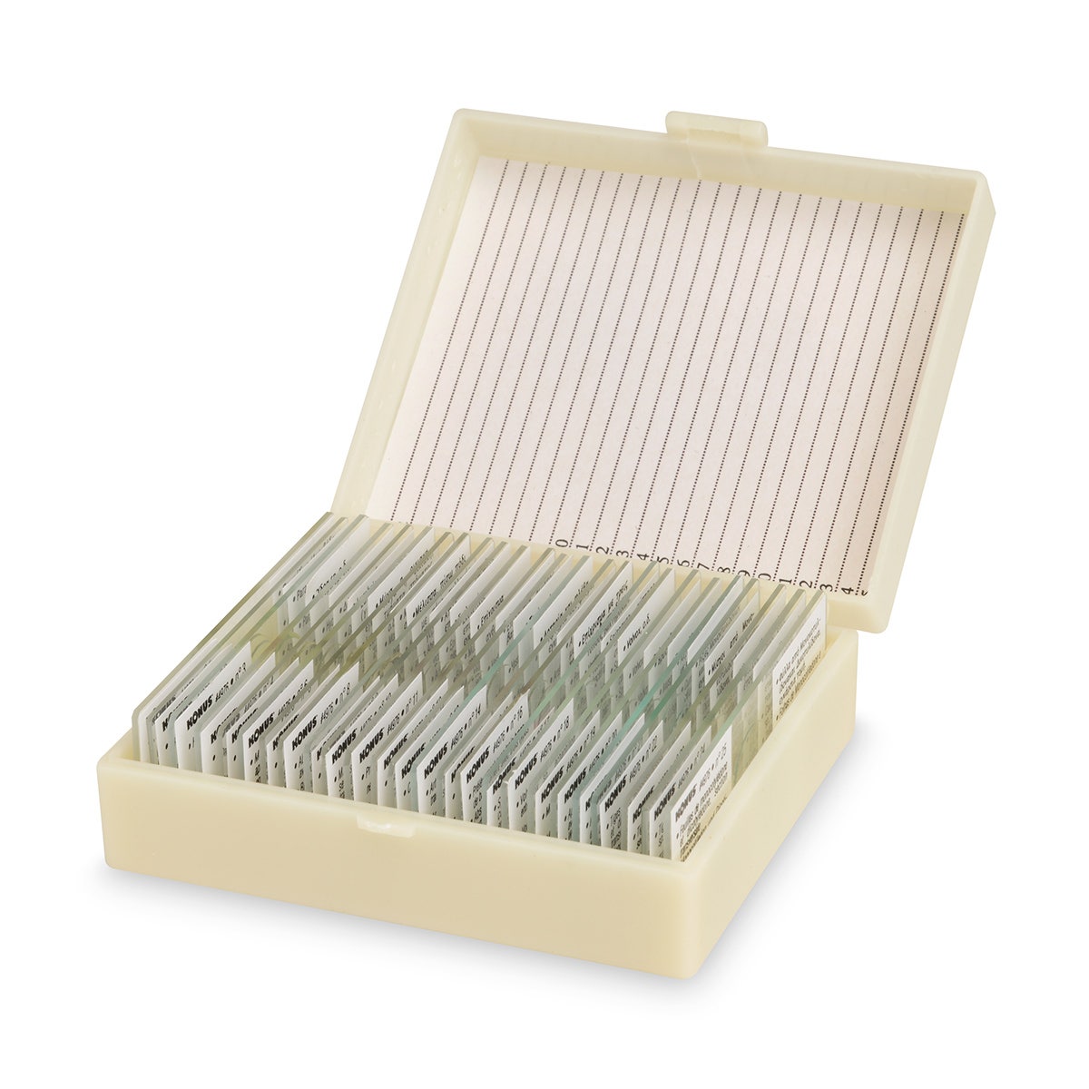 SB47787-Student Grade Slide Set - General Biology