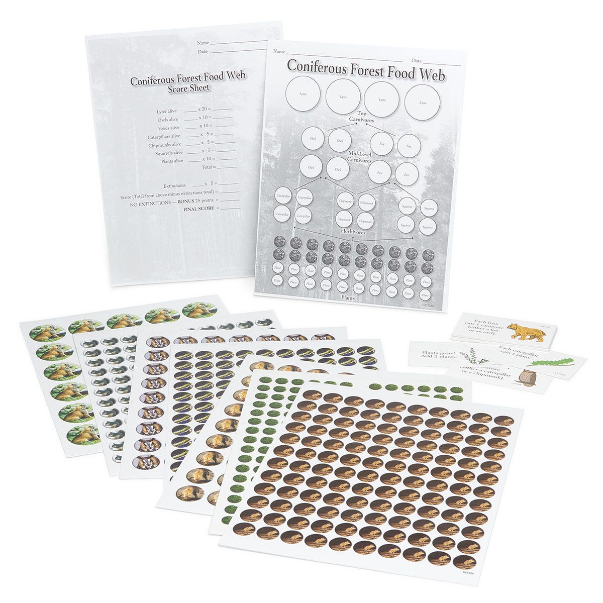 SB47891-Food Web Collapse Game