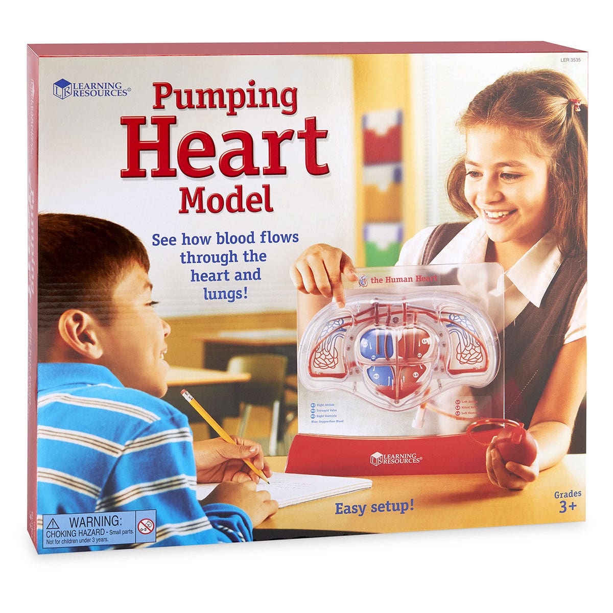 SB48204-Pumping Heart Model