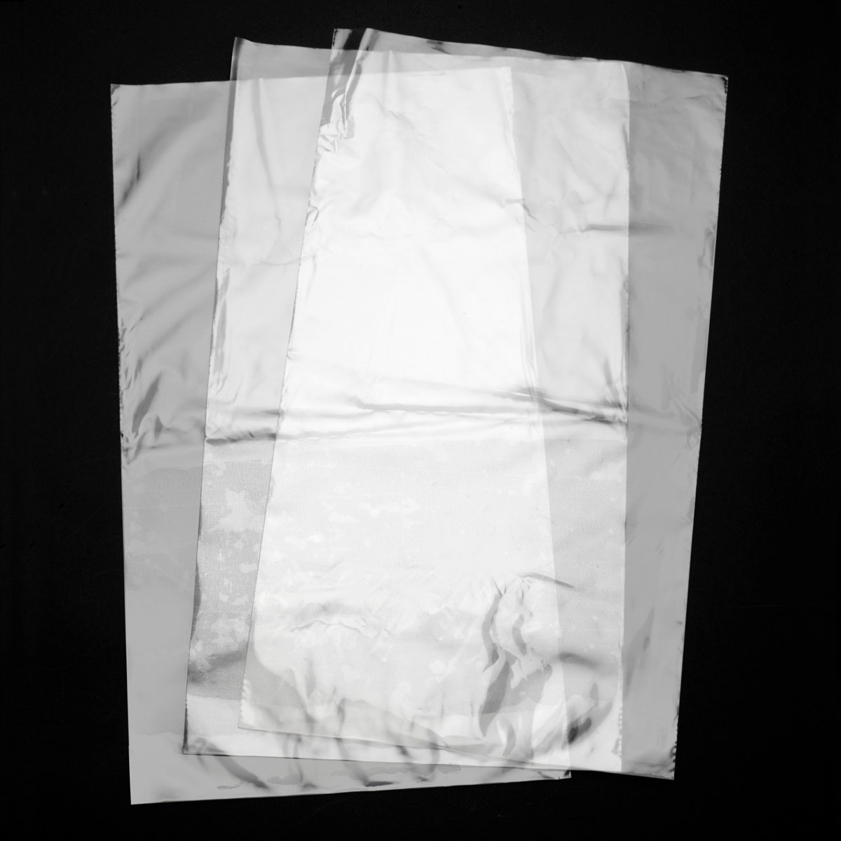 X0000SB48481-Specimen Bags