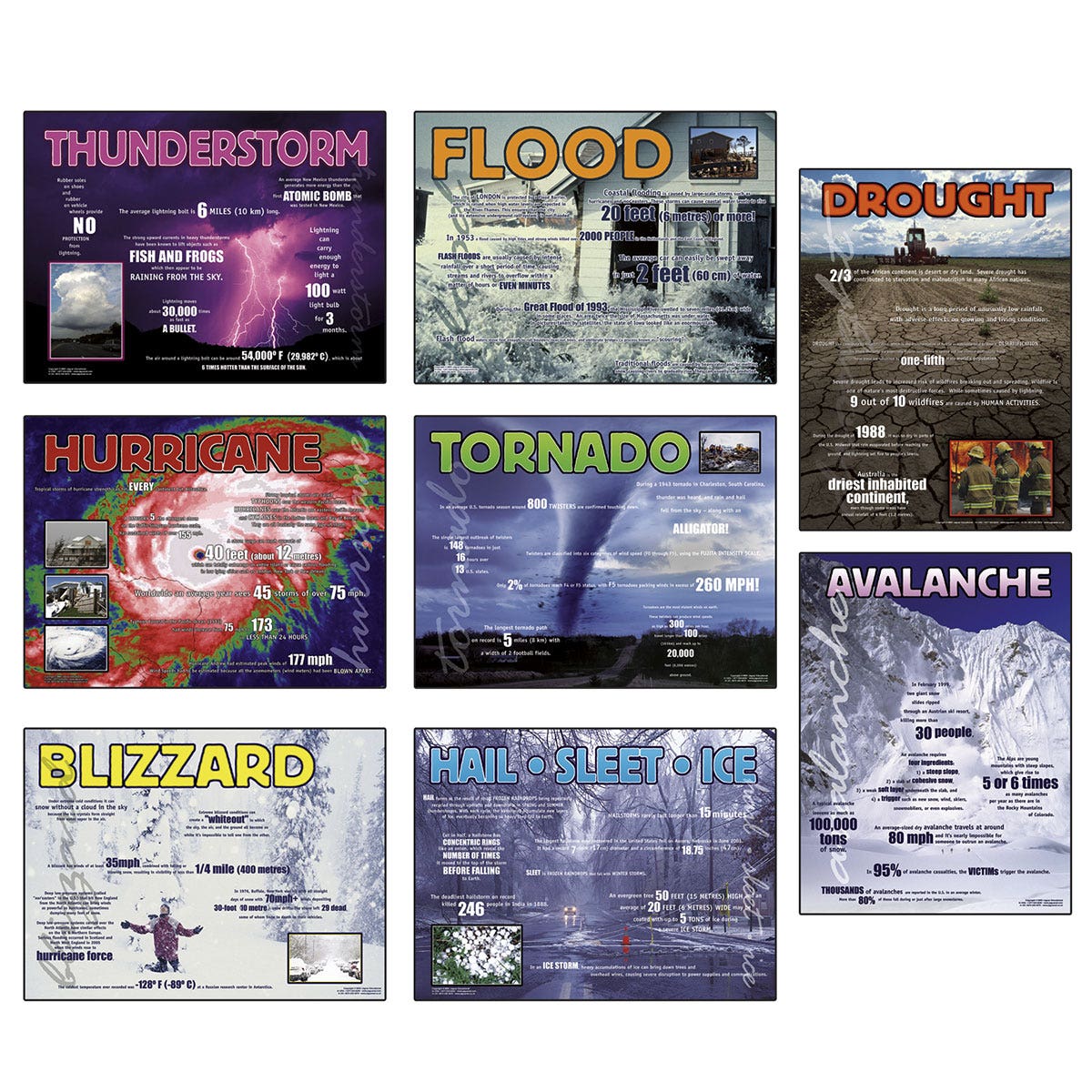 SB48563-Wild Weather Poster Series