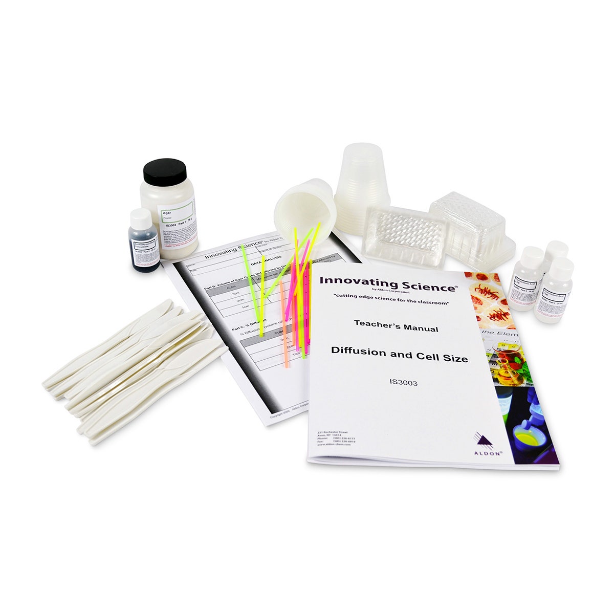 SB49031-Diffusion and Cell Size Lab