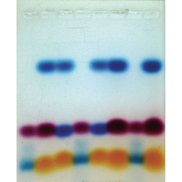 SB49181-An Introduction to Electrophoresis