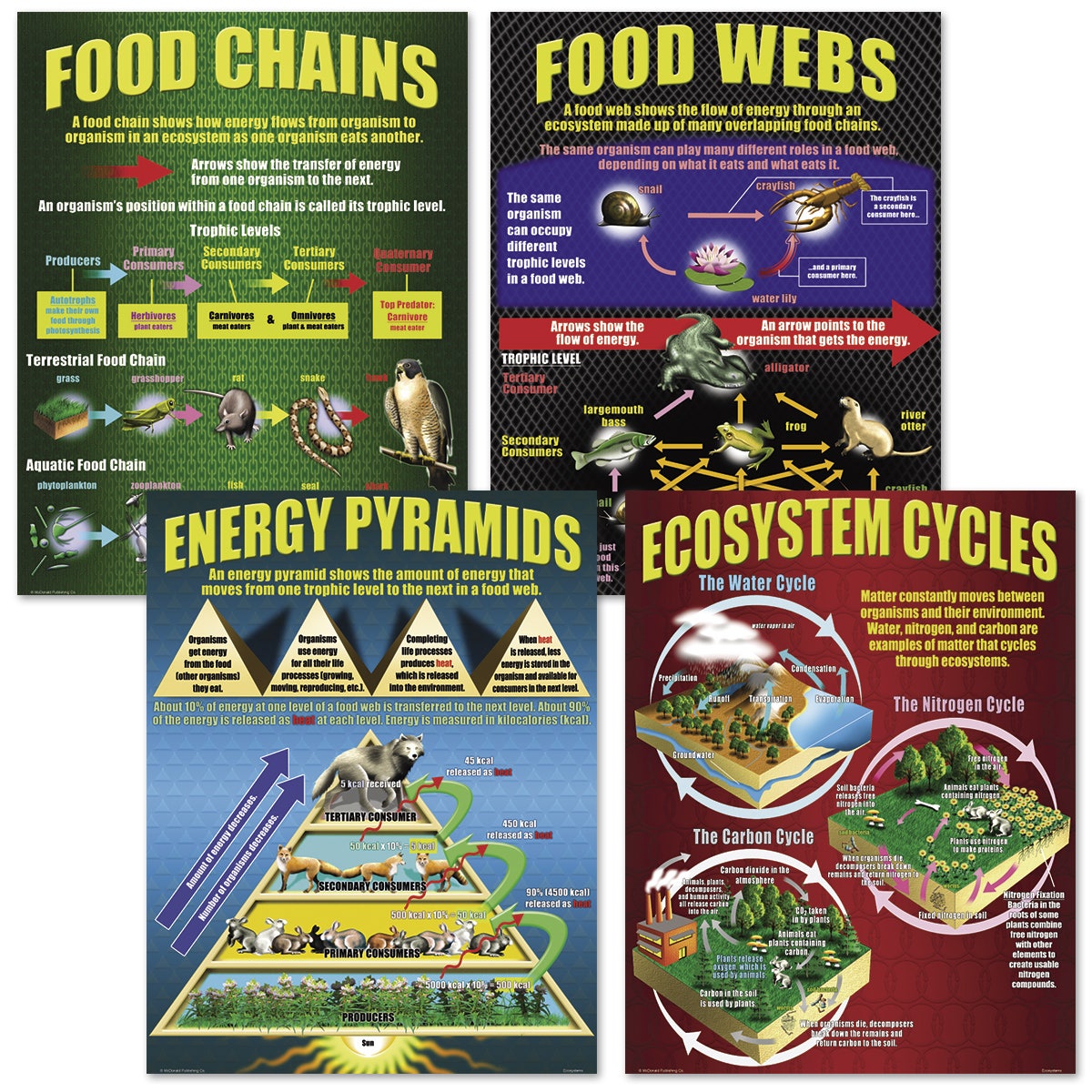 SB50481-Ecosystems Teaching Poster Set