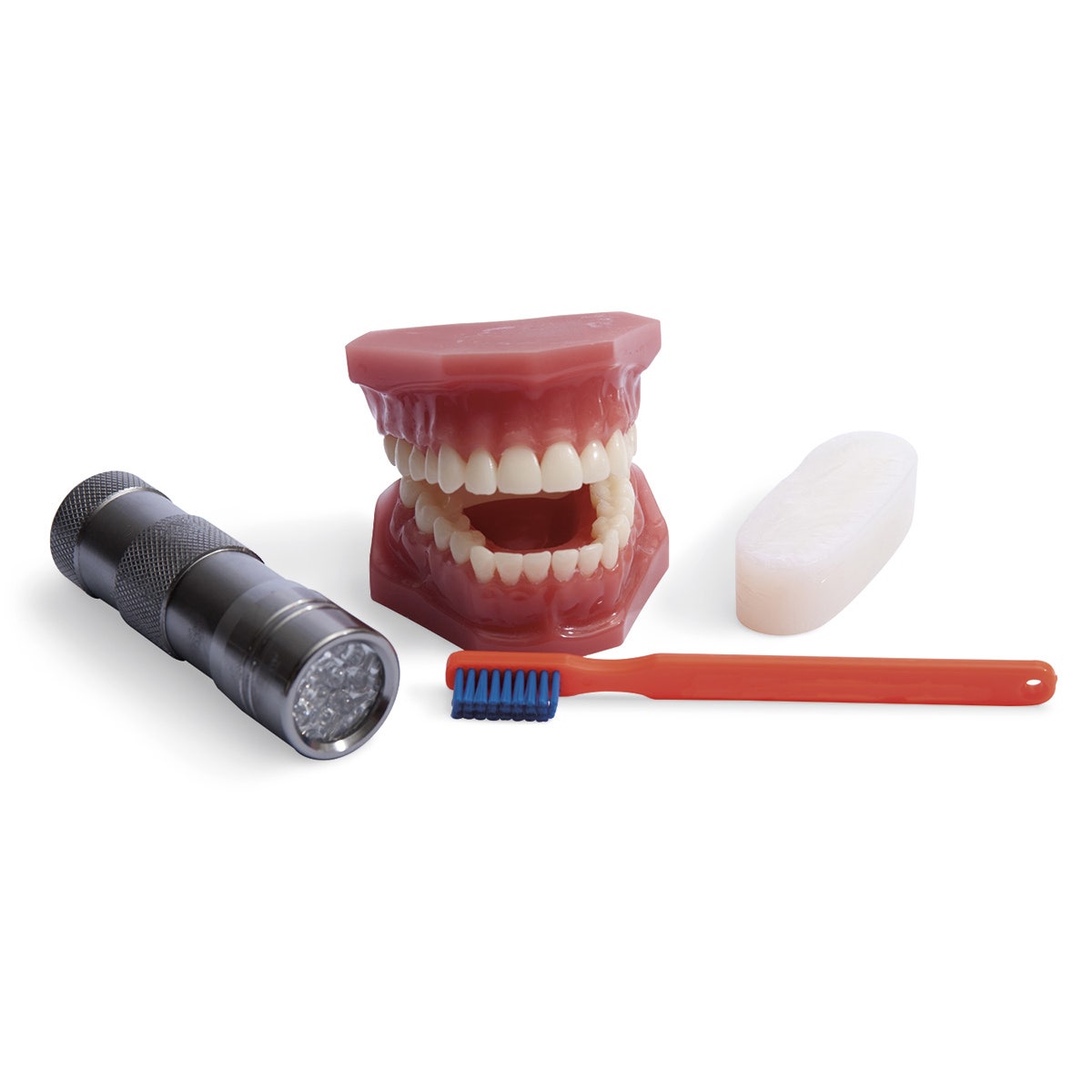 SB50822-Plaque Hunter™ Demonstration Model