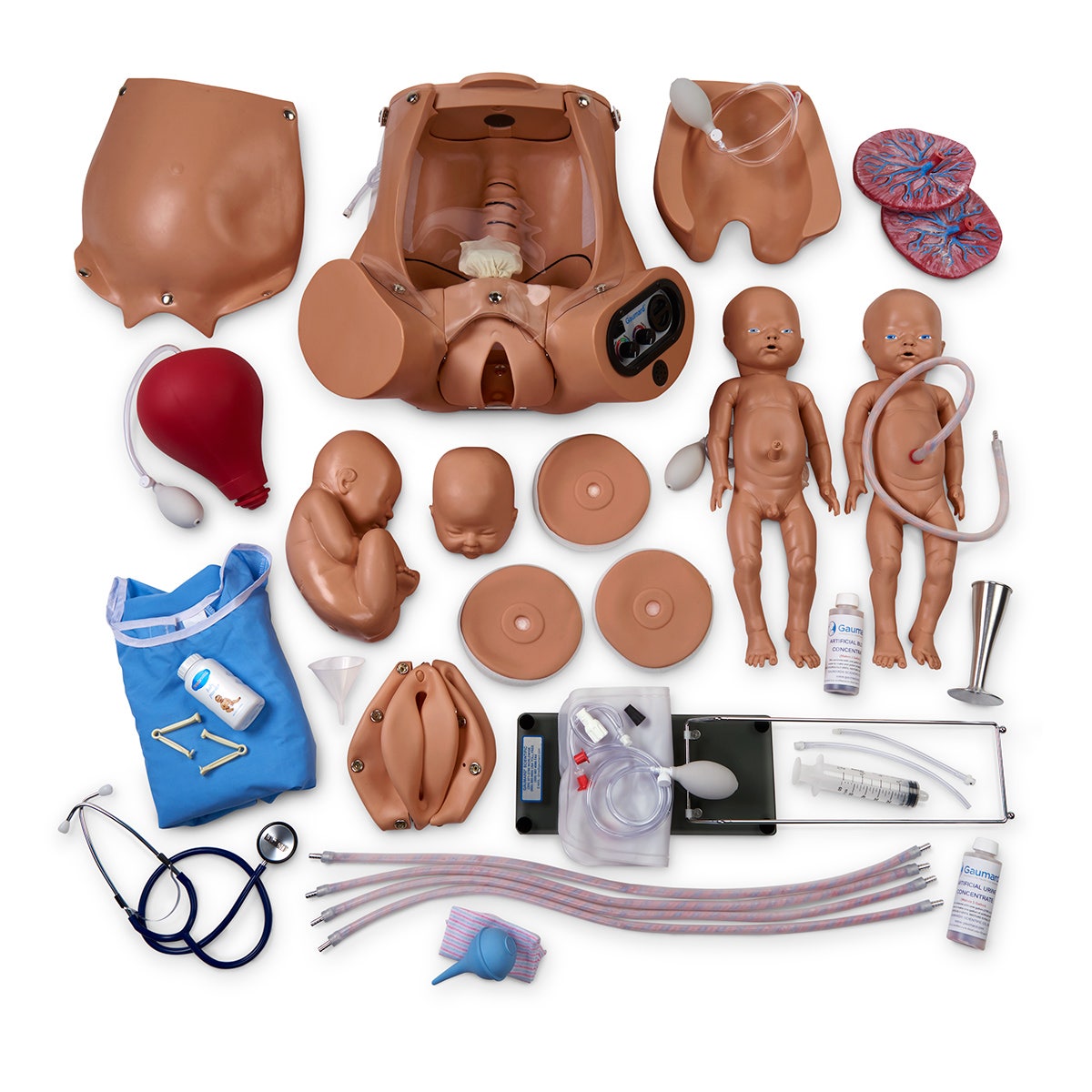 SB50848(M)-Gaumard® Advanced OB Susie® Birthing Torso - Medium