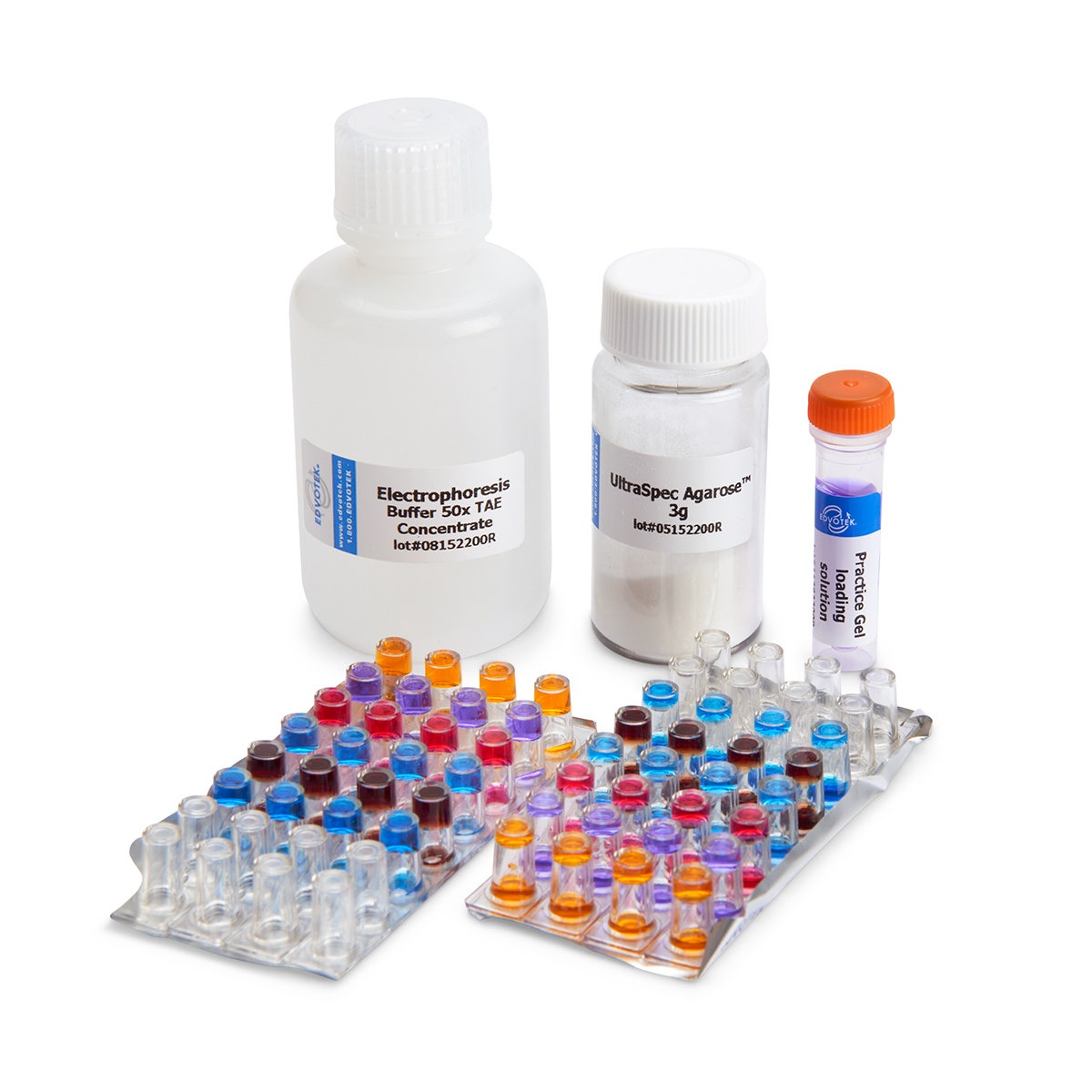 SB51181-Principles and Practice of Agarose Gel Electrophoresis