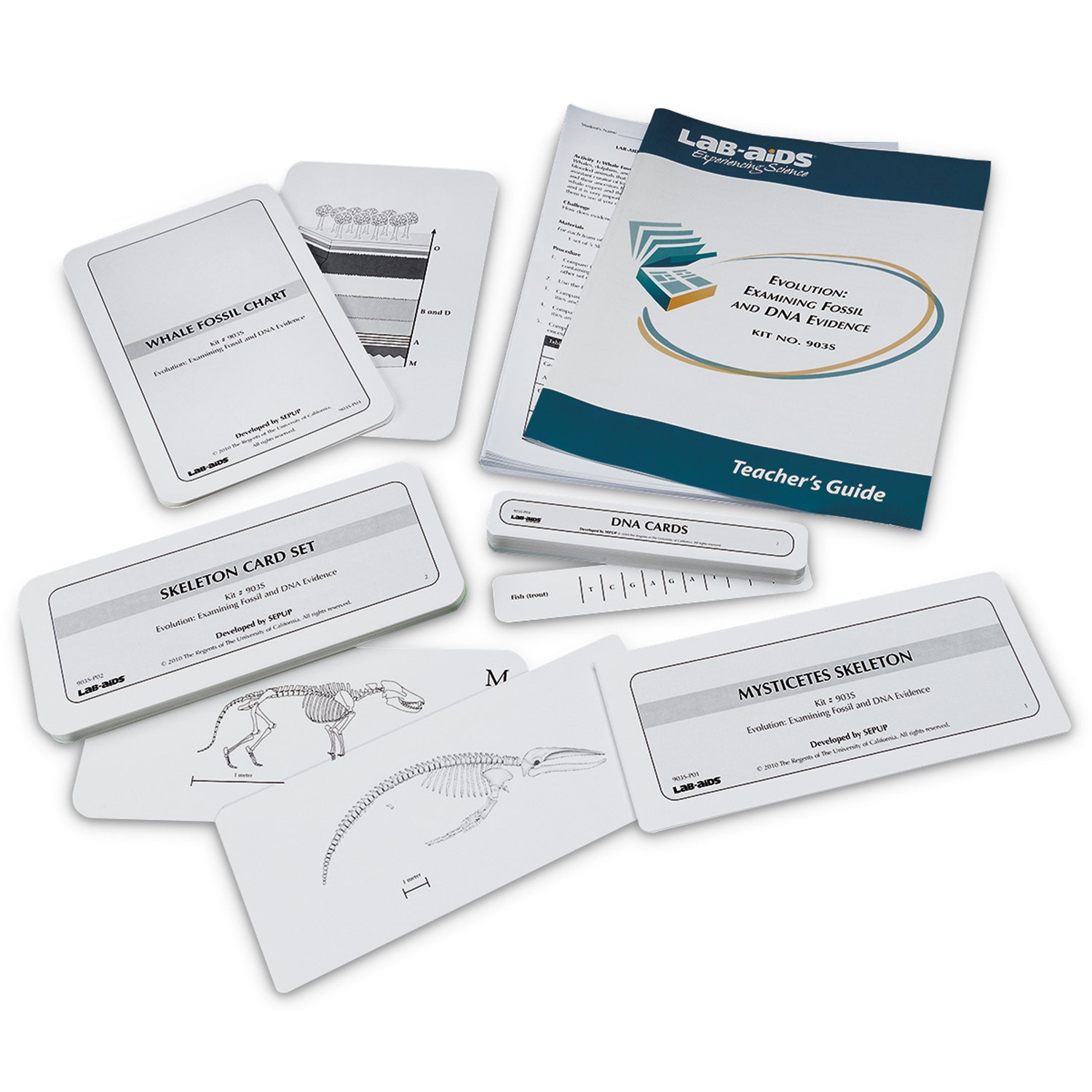 SB51696-Evolution - Examining Fossil and DNA Evidence