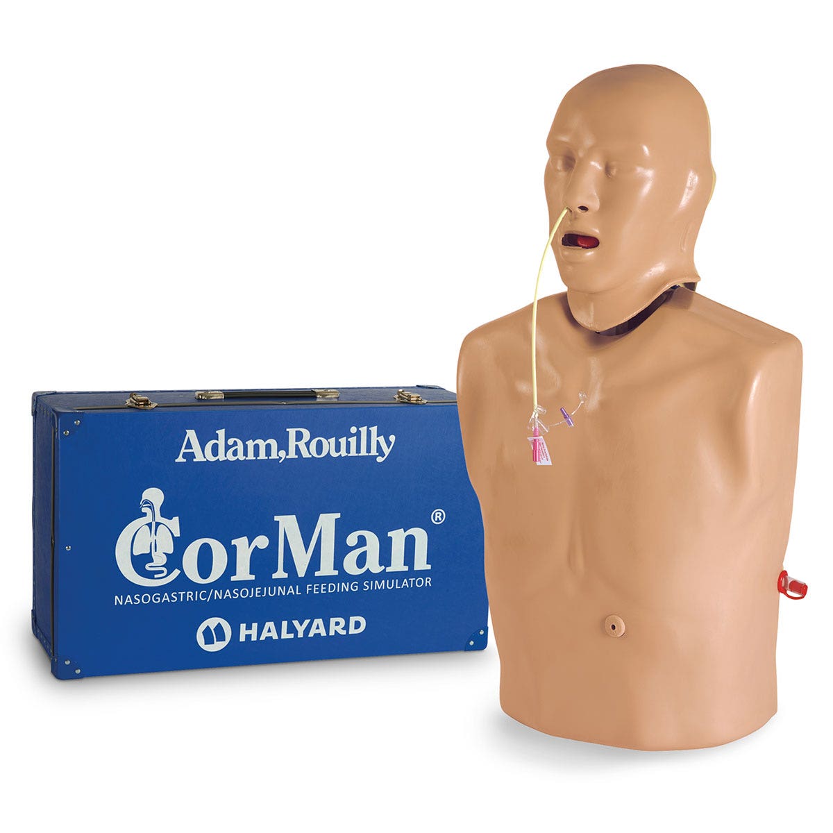 SB51827-CorMan® Adult Nasogastric/Nasojejunal Feeding Trainer