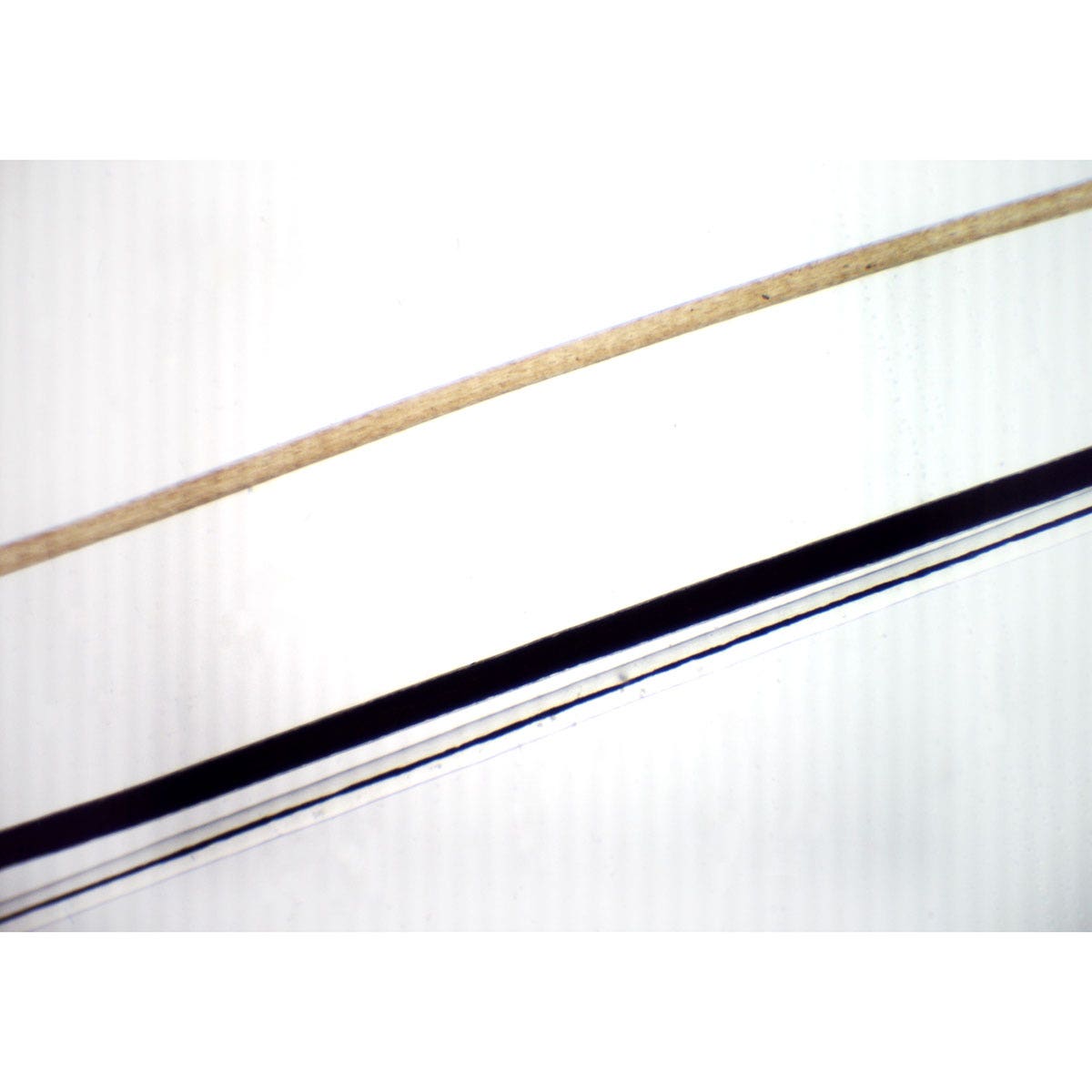 SB52292-Human Hair Types Slide