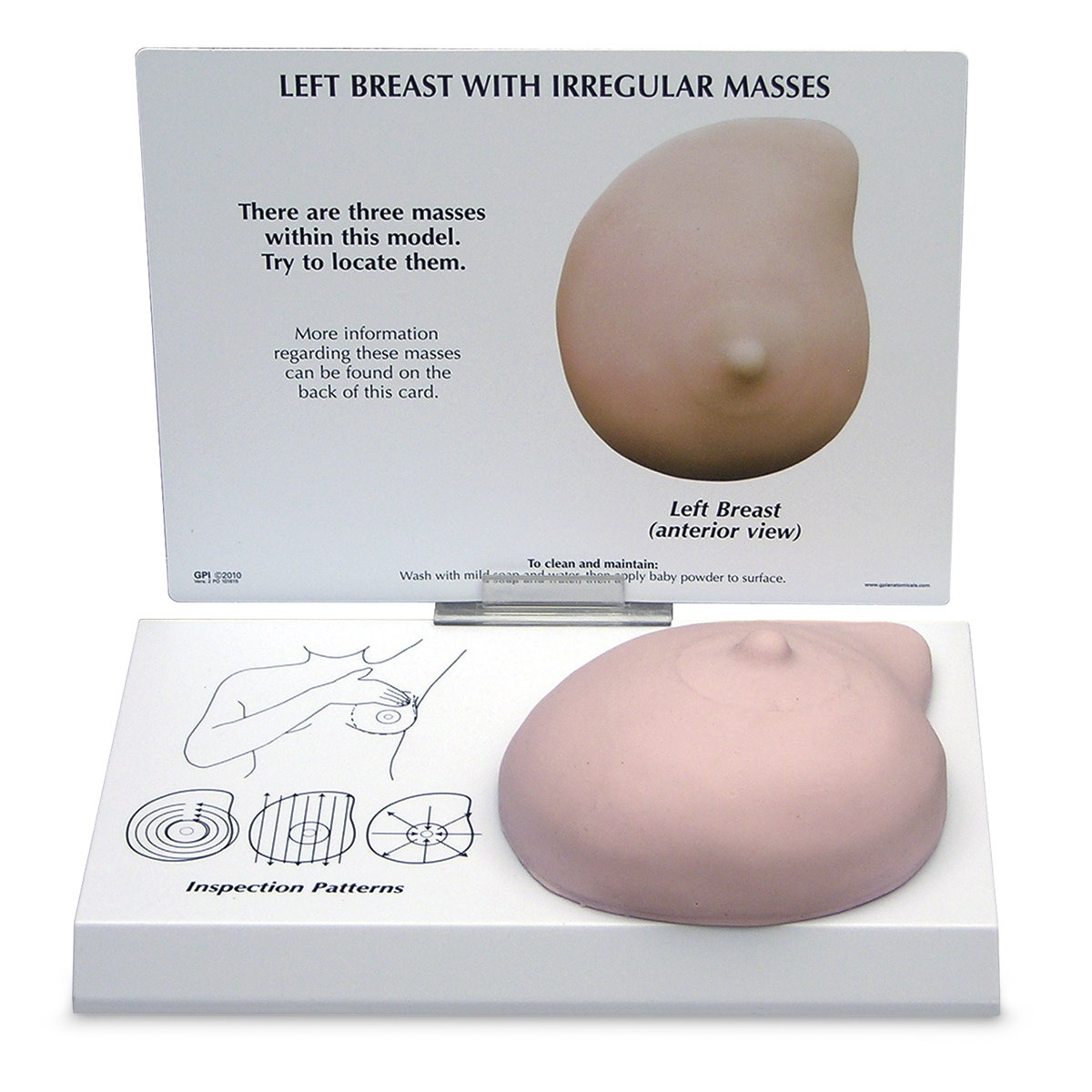 SB52334-Left Breast Model - 8-3/4 in. x 6-1/4 in. x 3 in.